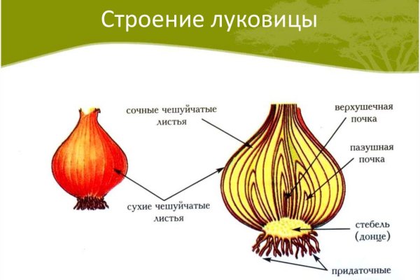 Ссылка на кракен даркнет