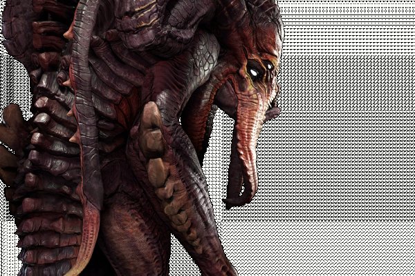 Kraken 22at