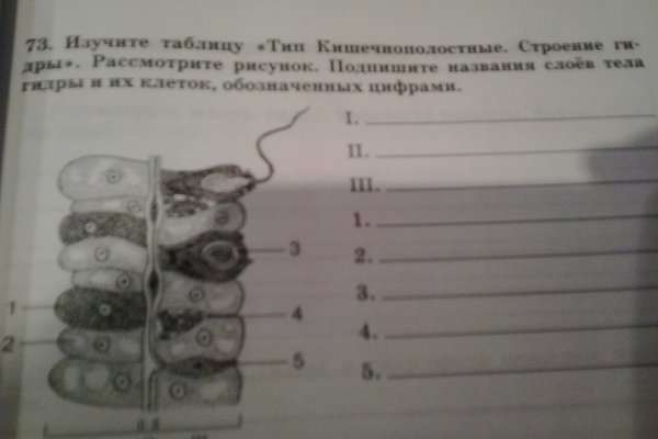 Официальная топ ссылка кракен сайта