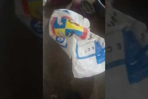 Как подключиться к даркнету